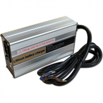 Check our offer of the 12V chargers