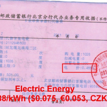 The cost of the electric energy in China