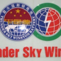 Thunder Sky Winston Battery Logo