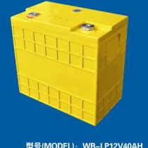 Winston Battery - the LP12V models - 40AH, 60AH, 90AH
