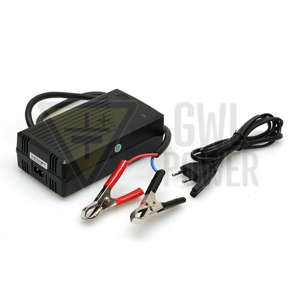 Charger 3.6V/20A for LiFePO4 cells (1 cell) - SALE ! 